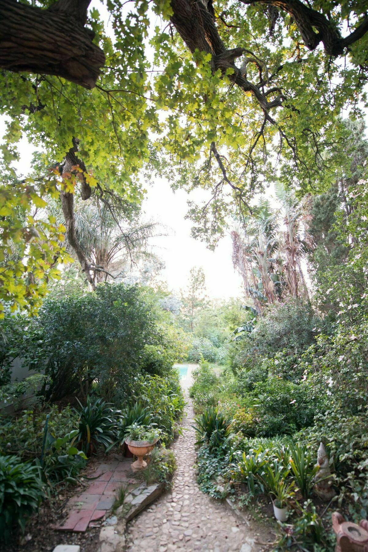 Tulbagh Country Guest House - Cape Dutch Quarters מראה חיצוני תמונה